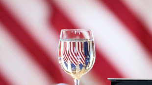 EU lawmakers to put US trade deal on hold after Supreme Court ruling