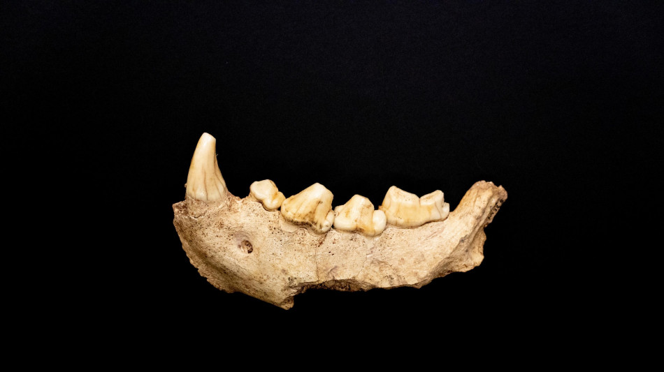 L'agricoltura nella Valle dell'Indo inizi&ograve; solo 7000 anni fa