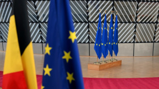 La UE logra un acuerdo sobre su objetivo climático para 2040 antes de la COP30