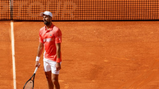 Djokovic to miss Italian Open