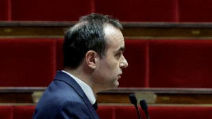 Frankreichs Haushalt: Premier leitet Verabschiedung ohne Abstimmung ein