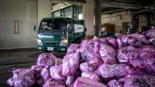 Recycler les couches: le Japon veut en remettre une couche