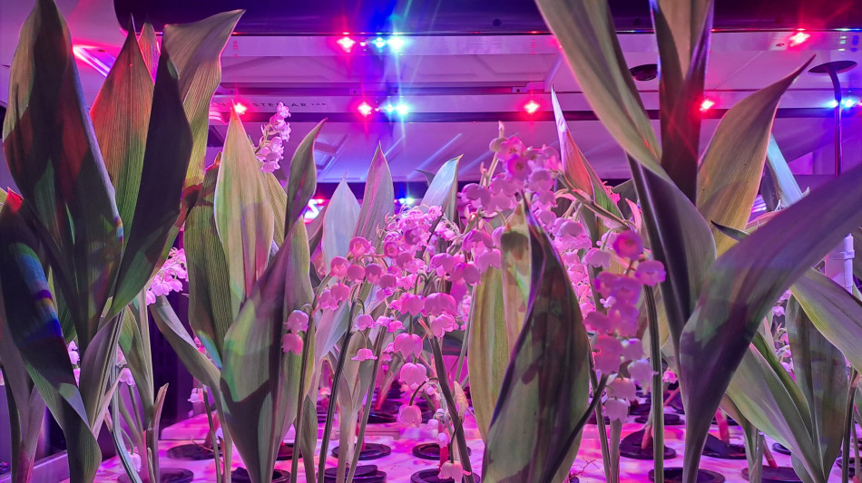 Biotecnologia e circolarità, il beauty guarda al futuro