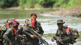 La guerrilla del ELN anuncia una tregua en Colombia por Navidad y fin de a&ntilde;o