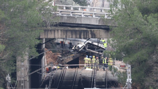 Dos accidentes mortales en 48 horas desatan dudas sobre la fiabilidad del sistema de trenes espa&ntilde;ol