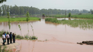 En 30 a&ntilde;os se han perdido 3,8 billones de d&oacute;lares en cultivos y ganado por cat&aacute;strofes