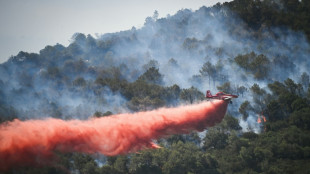 Forest fire blazes in southern France