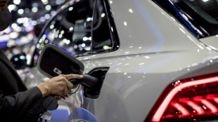 Les v&eacute;hicules &eacute;lectriques &eacute;trangers vont b&eacute;n&eacute;ficier des subventions du plan climat de Biden