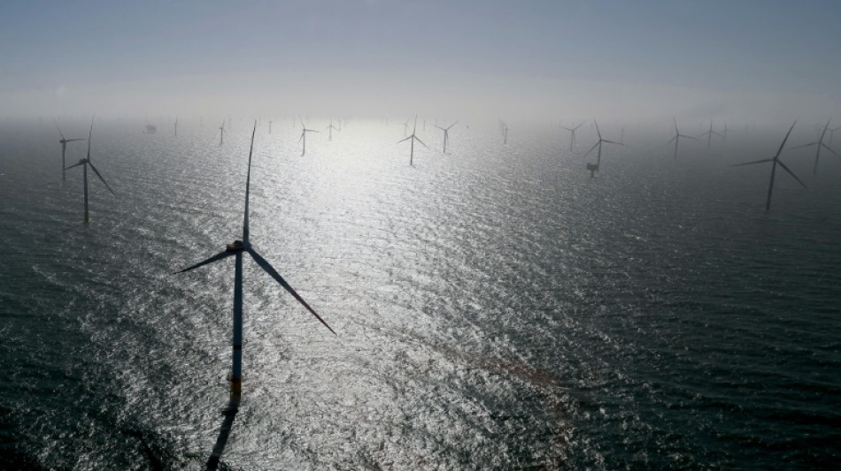 Agora Energiewende: Stromkosten mittels lokaler Preiszonen senken