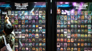 La polic&iacute;a espa&ntilde;ola desarticula plataforma de difusi&oacute;n ilegal de una manga por internet