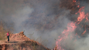 Tradition stokes pollution at Myanmar 'slash and burn' festival