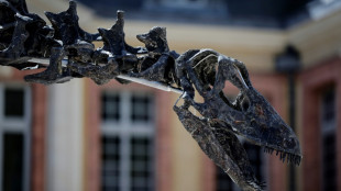 La supr&eacute;matie des dinosaures racont&eacute;e par leur estomac