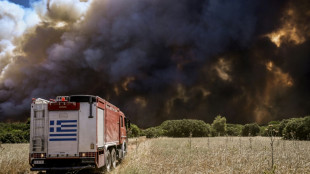 Gr&egrave;ce: "journ&eacute;e difficile" sur le front des incendies, selon les pompiers 