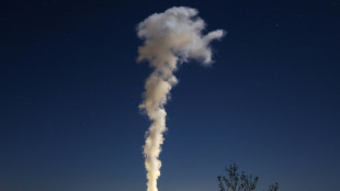 Energie: l'Assembl&eacute;e nationale rejette le texte Gremillet
