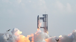 Nouveau vol test sous pression de la m&eacute;gafus&eacute;e Starship d'Elon Musk