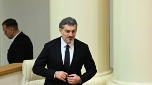 Asume nuevo presidente de Georgia cuestionado por la oposici&oacute;n proeuropea