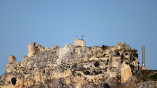 Isra&euml;l s'empare de la forteresse de Beaufort au Liban, Conseil de s&eacute;curit&eacute; de l'ONU lundi