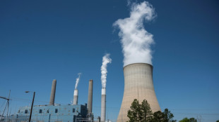 Washington veut assouplir la r&eacute;glementation sur les &eacute;missions des centrales &eacute;lectriques
