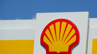 Berufungsgericht in den Niederlanden kippt Klima-Urteil gegen &Ouml;lriesen Shell 