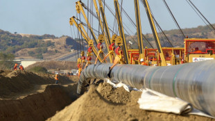 Il prezzo del gas chiude in rialzo a 31 euro ad Amsterdam