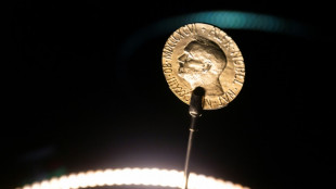 Le Nobel de m&eacute;decine au Su&eacute;dois Svante P&auml;&auml;bo, fondateur de la pal&eacute;og&eacute;nomique