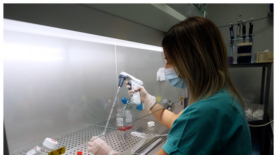 Ottenuto il primo virus sintetico, con l'aiuto dell'IA