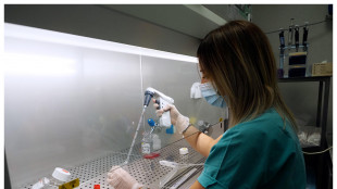 Terapia rigenerativa ripara midollo spinale umano coltivato in laboratorio