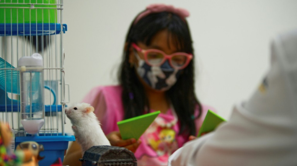 A Mexico, des chiens, des perruches et un hamster au service de la sant&eacute; mentale