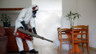 L'&eacute;pid&eacute;mie de dengue progresse en Guadeloupe et Martinique