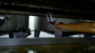 Un desconocido desparrama vino por 2,7 millones de d&oacute;lares en una bodega espa&ntilde;ola