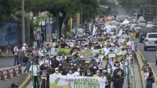 Ecologistas salvadoreños temen impacto ambiental por ciudad bitcóin