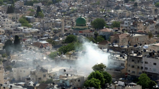 Vier Pal&auml;stinenser durch israelische Kr&auml;fte im Westjordanland get&ouml;tet