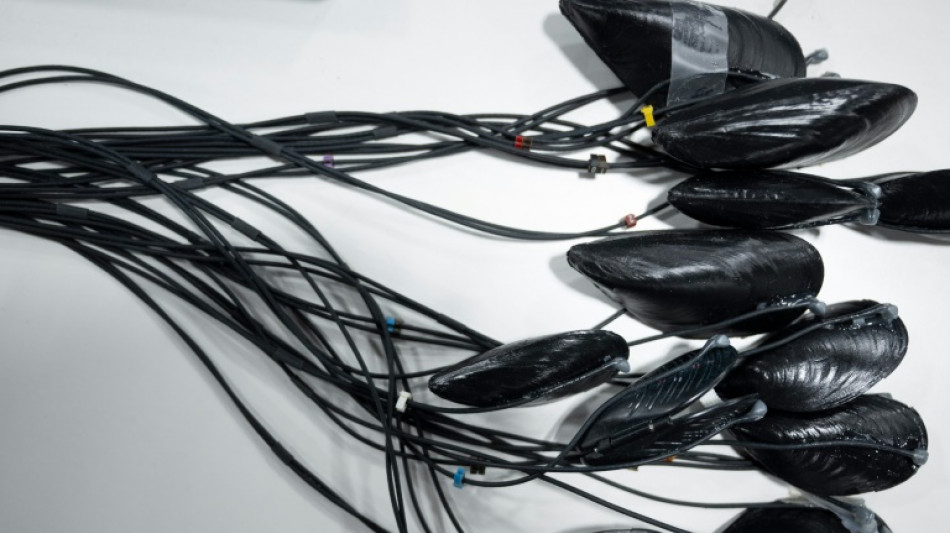 Creaciones contra el calentamiento global, protagonistas en la feria de tecnolog&iacute;a de Las Vegas