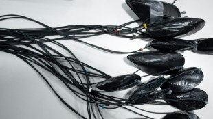 Creaciones contra el calentamiento global, protagonistas en la feria de tecnolog&iacute;a de Las Vegas