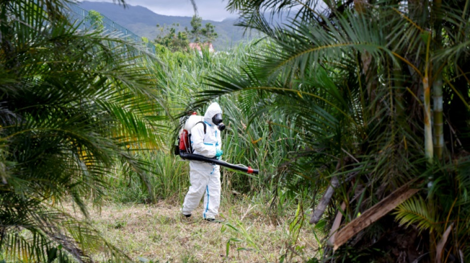 La Réunion: cinq nouveaux décès imputés au chikungunya malgré une épidémie en décrue