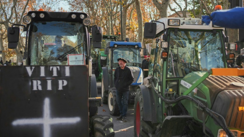 Francia anuncia medidas para calmar tensiones en el sector agr&iacute;cola