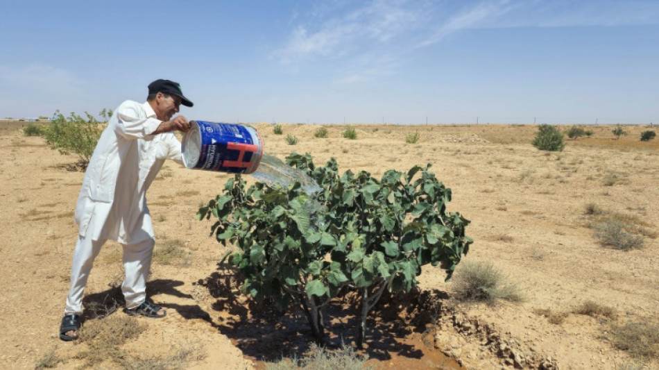 Libye: jadis fertile, une zone montagneuse en proie au d&eacute;r&egrave;glement climatique