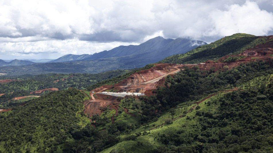 Guinea se prepara para explotar su tesoro de hierro
