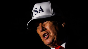 Trump, il mio arco di Trionfo surclasserà quello di Parigi