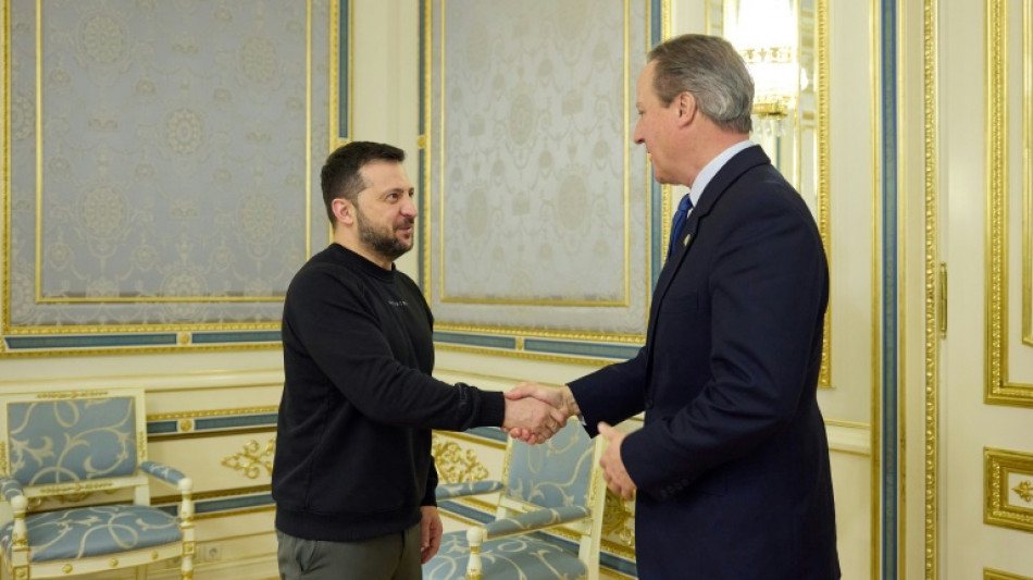 Cameron visita Ucr&acirc;nia e promete a Zelensky apoio militar do Reino Unido