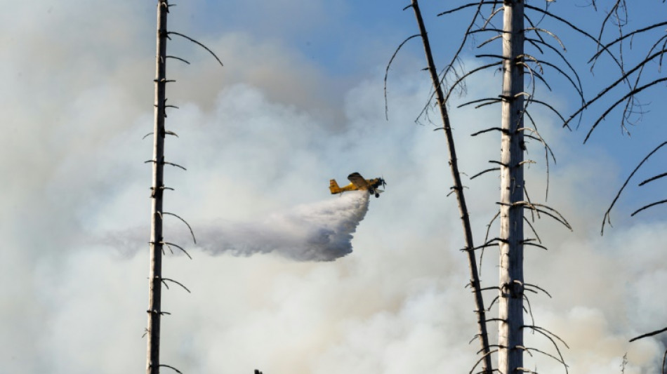 Waldbrand am Brocken: Einsatzkr&auml;fte l&ouml;schen letzte Glutnester