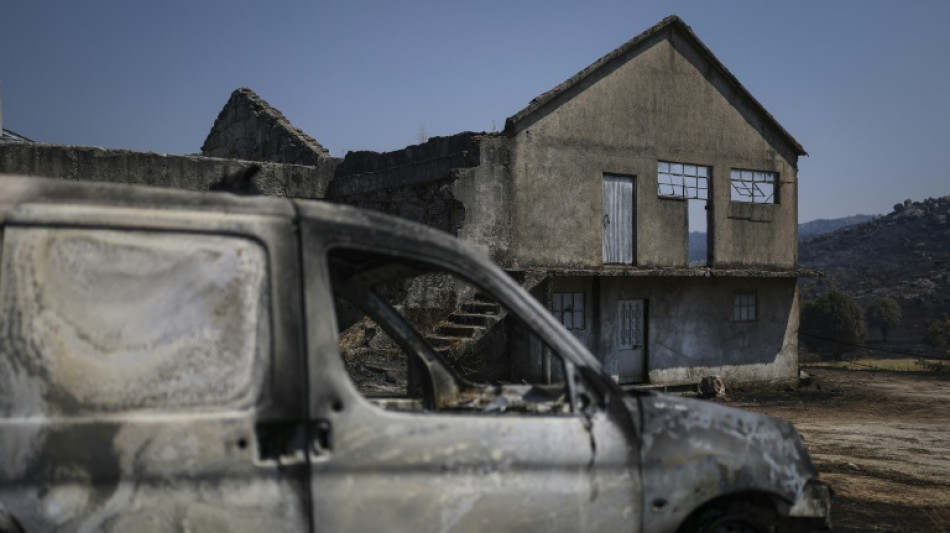 Portugal counts the cost of its biggest ever forest fire