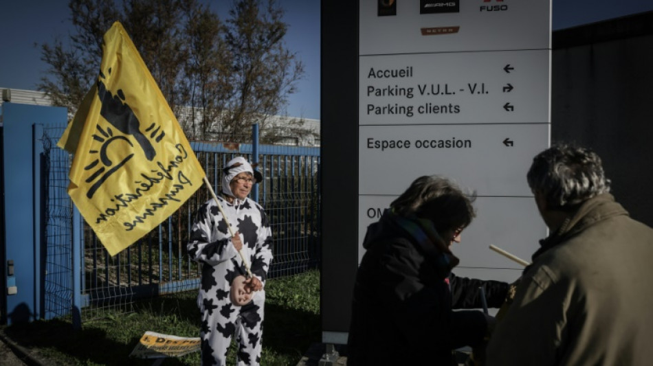 De Espa&ntilde;a a Polonia, firme oposici&oacute;n de los agricultores de la UE a un acuerdo con Mercosur