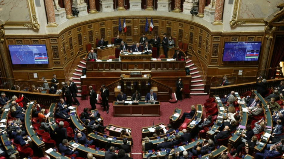 Budget: le Sénat s'oppose à la surtaxe sur les entreprises