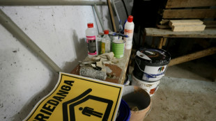 Lituania protesta por la incursi&oacute;n de dos aviones rusos en su territorio