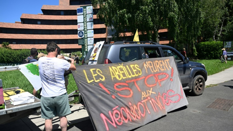 Loi Duplomb: des milliers d'opposants au texte mobilis&eacute;s ce week-end en France 