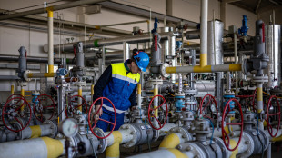 Il gas chiude in leve rialzo sopra 32 euro al Ttf di Amsterdam