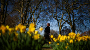 Reino Unido registra en 2025 su primavera m&aacute;s soleada