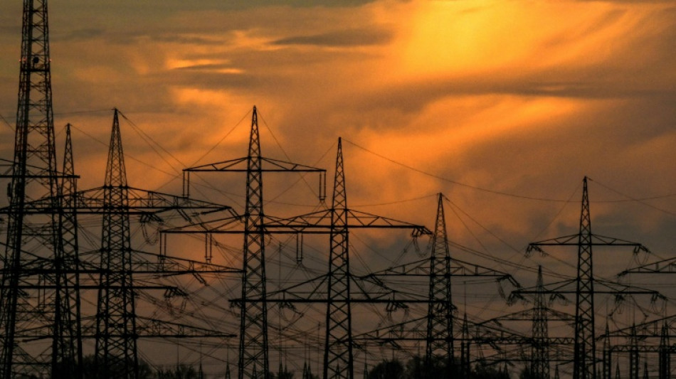 Sabotageversuche an Stromversorgung: Weitere Sprengvorrichtungen in Sachsen gefunden