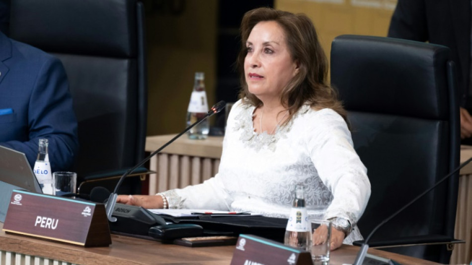 El gobierno de Per&uacute; denuncia que se busca tumbar a la presidenta por una cirug&iacute;a de nariz